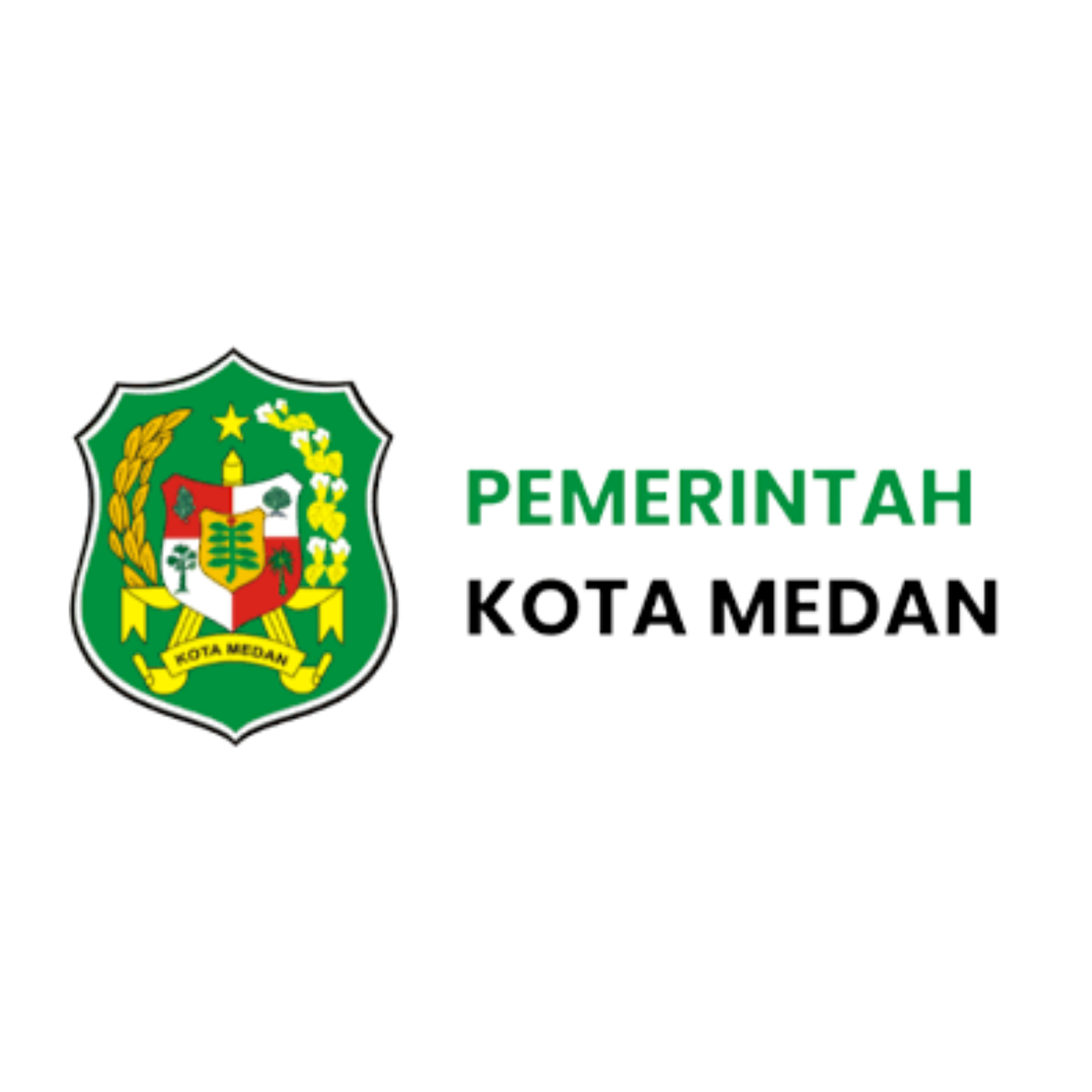Pemerintah Medan